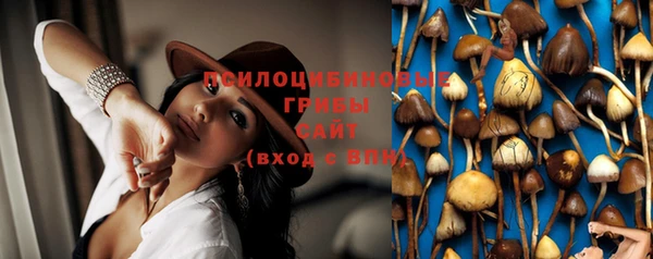 прущие крисы Дмитров