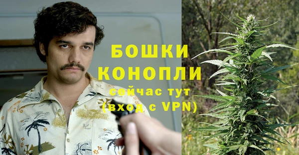 прущие крисы Дмитров