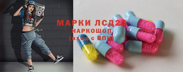 spice Ельня