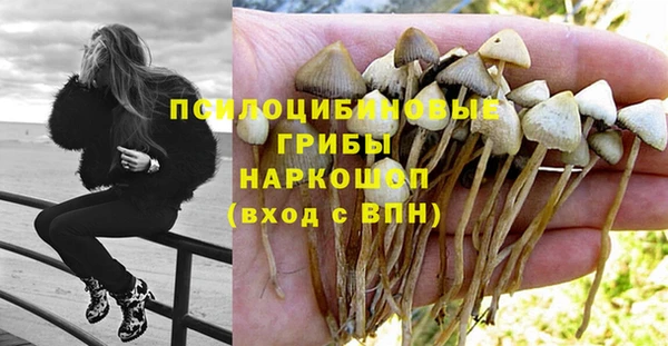 не бодяженный Дмитровск