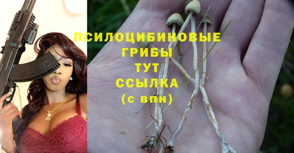соль курить ск Елабуга