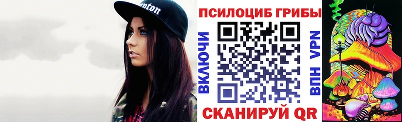 Псилоцибиновые грибы Psilocybe  МЕГА ТОР  Железноводск  наркошоп 